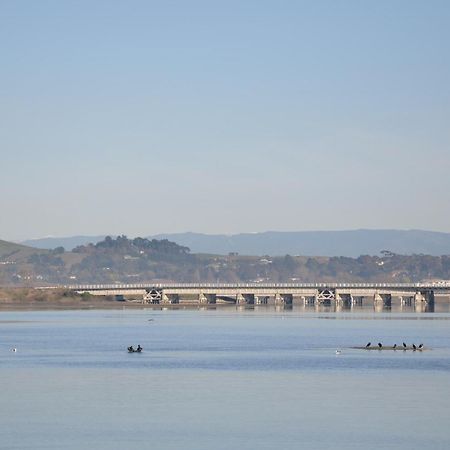 Fairley Motor Lodge Napier Εξωτερικό φωτογραφία